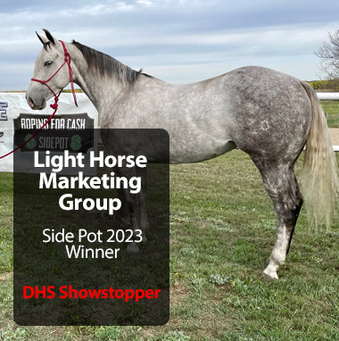 Light Horse Marketing
